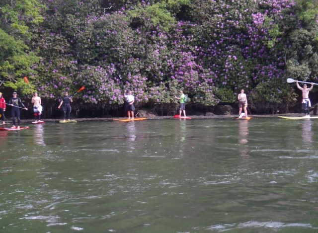  Unique adventure in paddle surfing on the river 